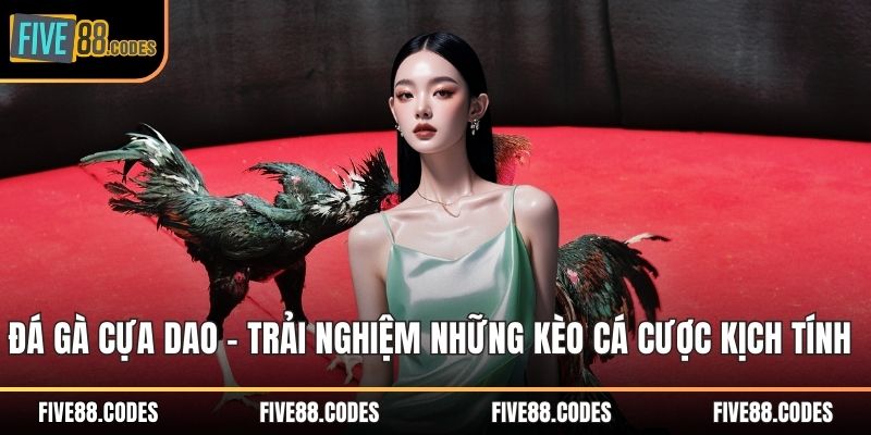 Đá gà cựa dao